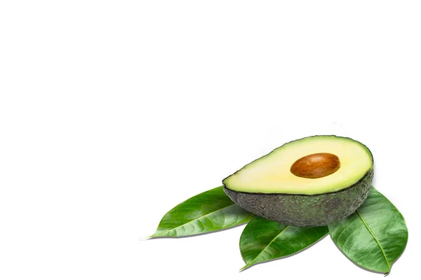 Avocado Isolato Sfondo Bianco — Foto Stock