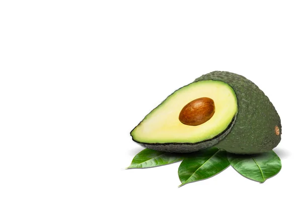 Avocado Geïsoleerd Witte Achtergrond — Stockfoto