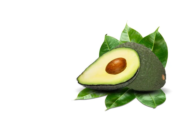 Avocado Isoliert Auf Weißem Hintergrund — Stockfoto