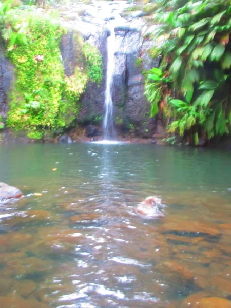 美丽的瀑布落在茂密的热带植被中 — 图库照片