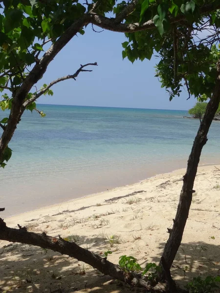 Achter Bomen Het Witte Zandstrand Turquoise Zee — Stockfoto