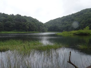 Bereketli ormanlarla çevrili bir göl.