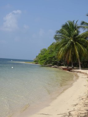Palmiye ağaçları ve mavi gökyüzünün altında turkuaz deniz olan beyaz kumsal.