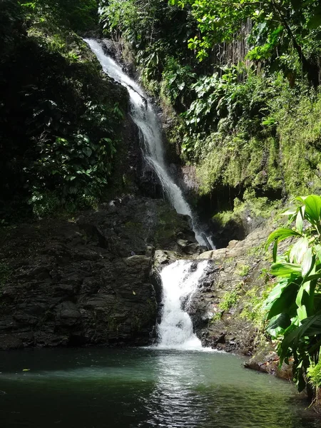 茂密的热带雨林中的一个大瀑布 — 图库照片