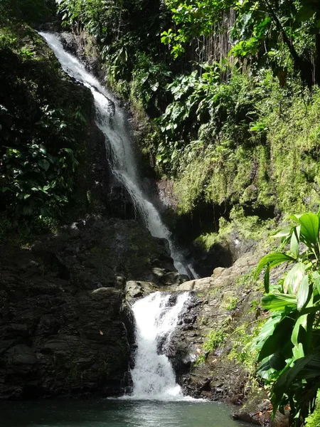 Uma Grande Cachoeira Exuberante Floresta Tropical — Fotografia de Stock