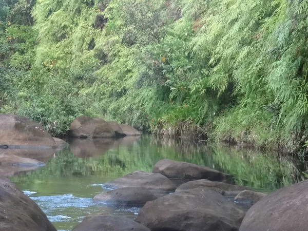 Річка Тече Між Скелями Пишному Тропічному Лісі — стокове фото