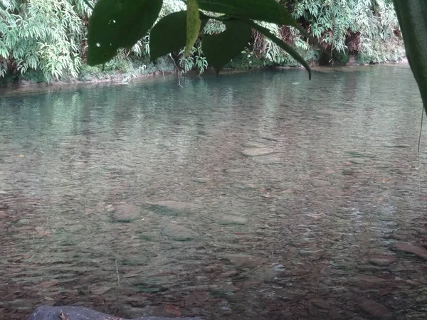 Río Fluye Través Exuberante Selva — Foto de Stock