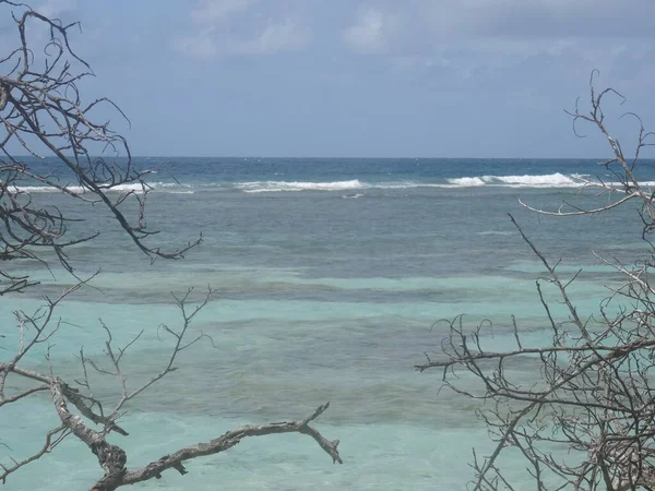 Mer Céleste Turquoise Sous Ciel Bleu — Photo