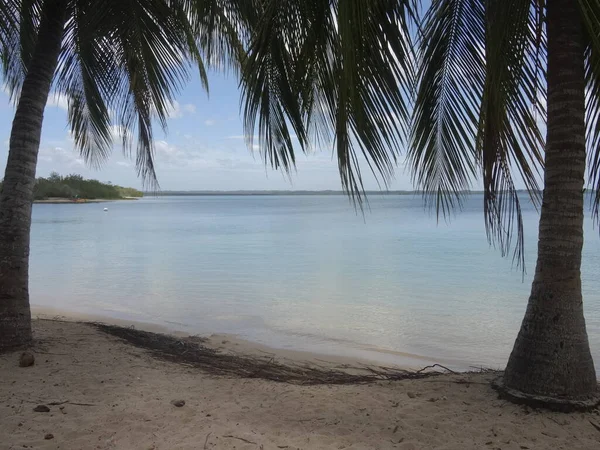Achter Palmboom Het Witte Zandstrand Turquoise Zee Onder Blauwe Hemel — Stockfoto