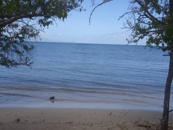 Hinter Den Bäumen Dem Weißen Sandstrand Und Dem Blauen Meer — Stockfoto