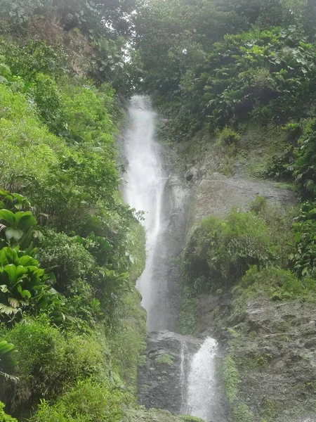 Powerfull Waterfall Lush Rainforest — 图库照片