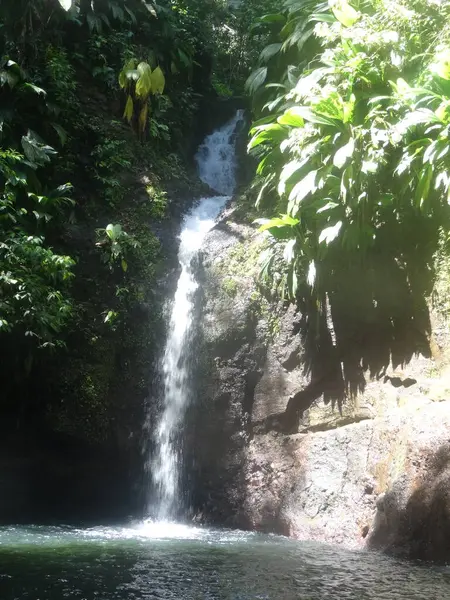 Ein Großer Wasserfall Üppigen Regenwald — Stockfoto