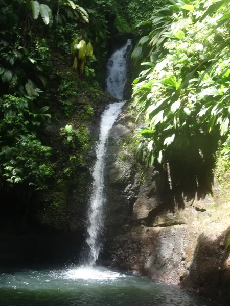 Une Grande Cascade Dans Forêt Tropicale Luxuriante — Photo