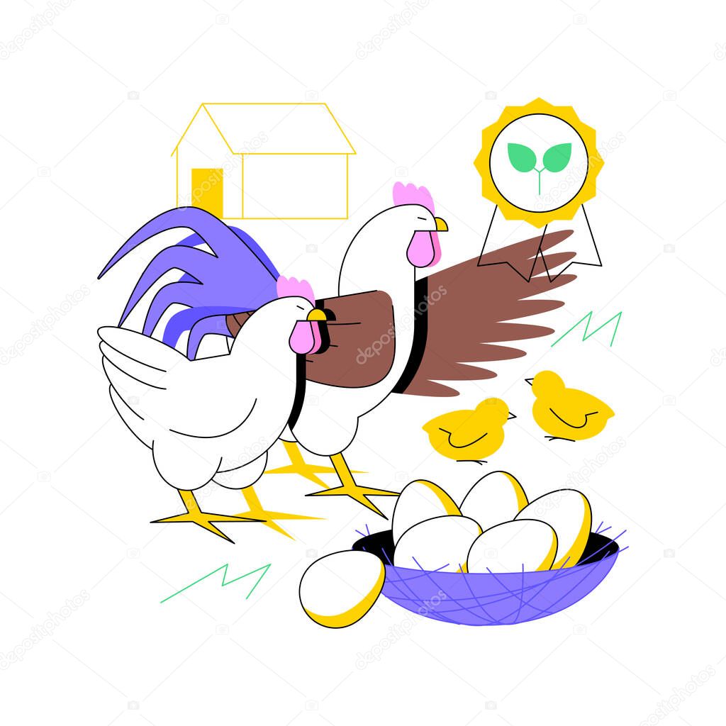 Free run chicken and eggs abstract concept vector illustration.