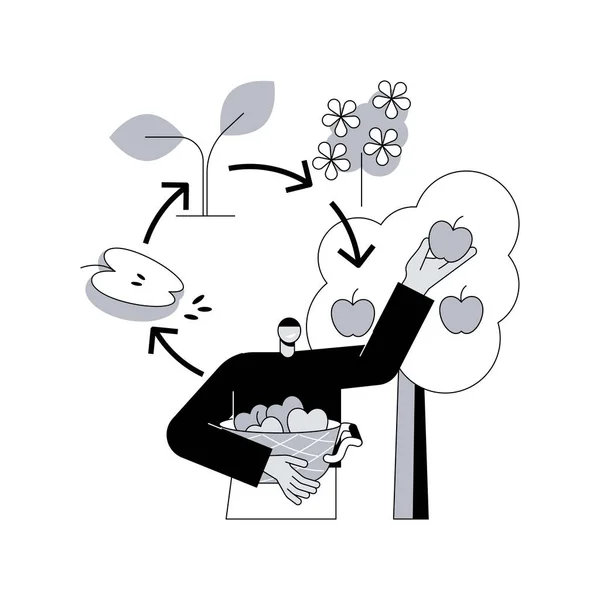 Biologiczny Cykl Abstrakcyjny Pojęcie Wektor Ilustracja Pobieranie Zbiory Roślin Biosolid — Wektor stockowy