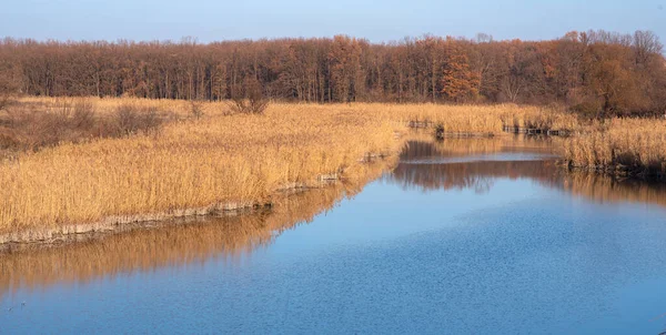 Autumn Landscape River Colourful Trees Reflecting Calm Water Surface Landscape — Photo