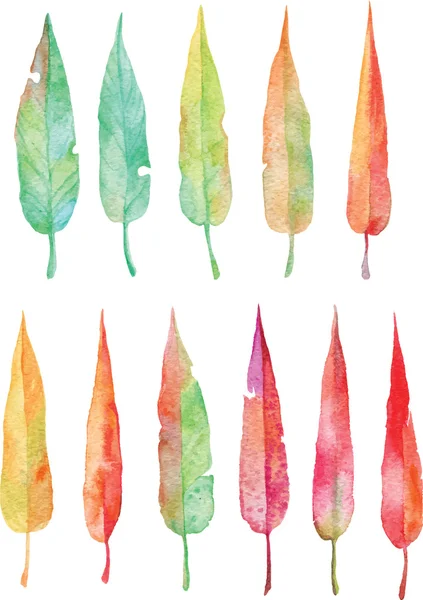 Conjunto de multicolor acuarela hojas largas vector — Archivo Imágenes Vectoriales