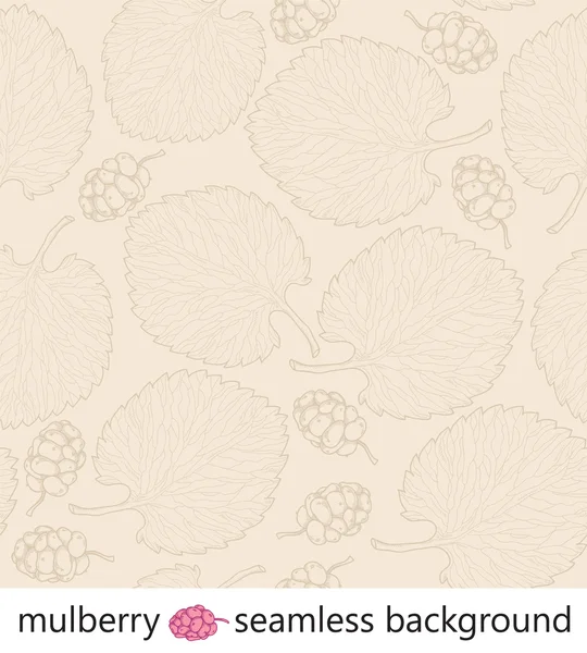 Mulberry naadloze achtergrond vector — Stockvector