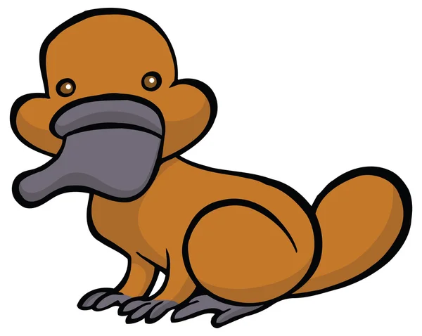 Funny cartoon platypus — Stock Vector