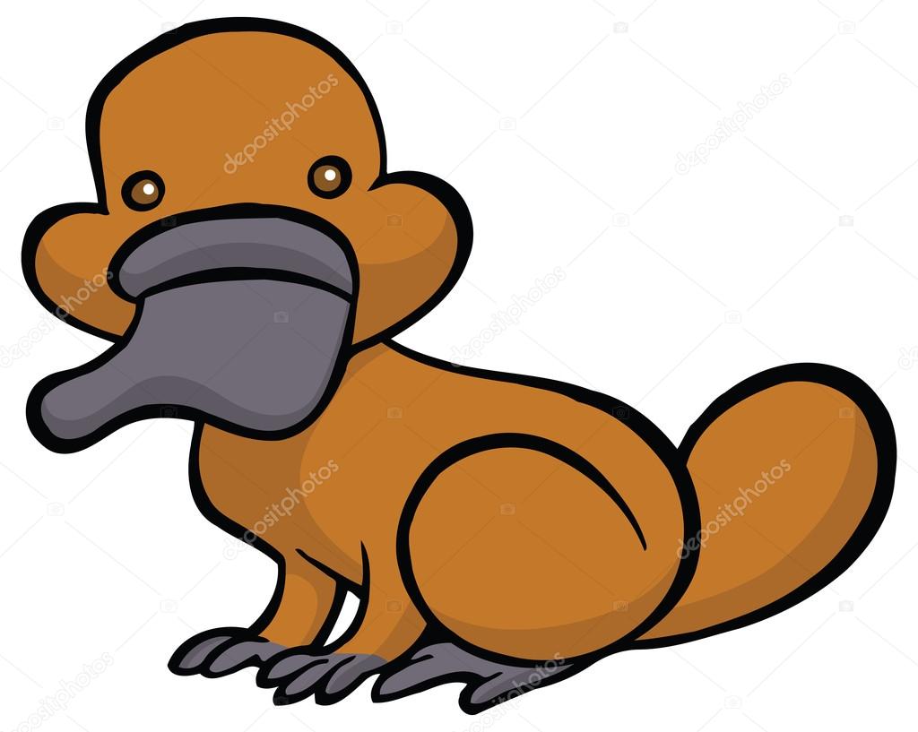 funny looking platypus cartoon funny looking platypus cartoon