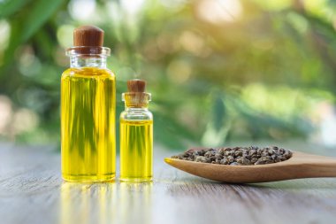 Cam şişedeki kenevir yağı ve tahta kaşıktaki tohumlar hastalıkları tedavi etmek için kenevirden elde edilen yağı kullanma fikri. CBD 'den çıkarılan alternatif tıp bitkileri.