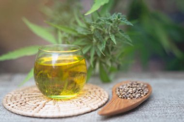 Cam şişelerdeki kenevir yağı, tahta kaşıktaki kenevir yaprağı ve tohumlar. Tıbbi kavramlar, alternatif olarak, CBD yağı, ilaç ve tedavi bitkileri hastalıkları tedavi etmek için kullanılır. Petrol çıkarma bileşenleri.