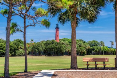 Güneşli yaz gününde Jüpiter deniz feneri ve etrafında palmiye ağaçları, Batı Palm Beach, Florida