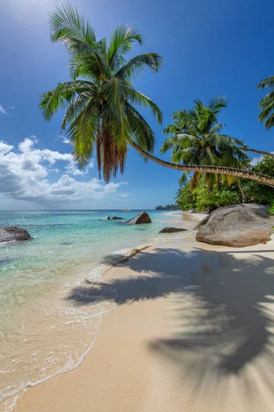 Kokosové Palmy Tropický Oceán Pláži Slunečný Ráj Ostrově Seychely — Stock fotografie