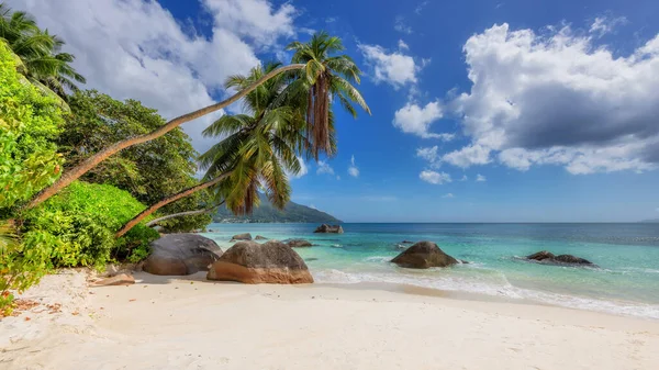 Coco palms and tropical ocean on Sunny paradise beach in Seychelles island