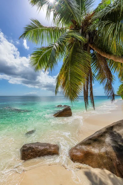 Coco palms and tropical ocean on Sunny paradise beach in Seychelles island