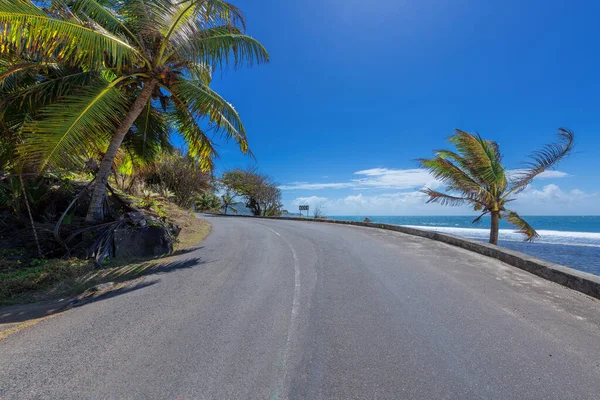 Route Plage Avec Palmiers Dans Île Paradisiaque Road Trip Mahe — Photo