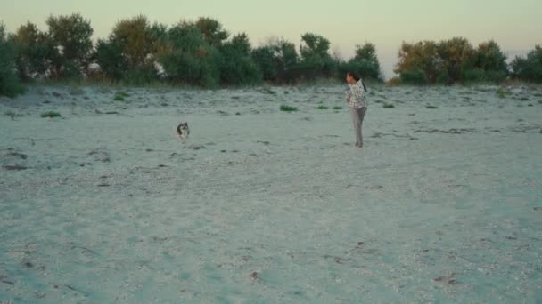 Mutlu gülen kadın gün batımında kumlu sahilde tatlı Galli Corgi köpeğiyle koşuyor.. — Stok video