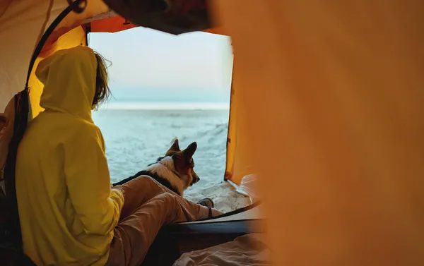 Nainen ja koira istuvat turistiteltassa ja ihailevat aikaisin aamulla näkymää rannalla. — kuvapankkivalokuva