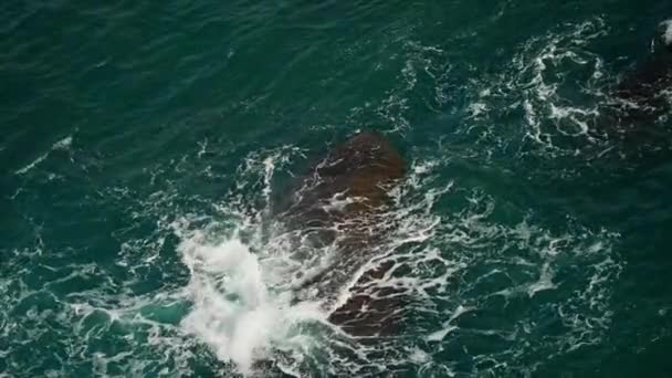 Slow motion Top down antenn utsikt över turkosa havsvågor kraschar på undervattensrev och skummande — Stockvideo