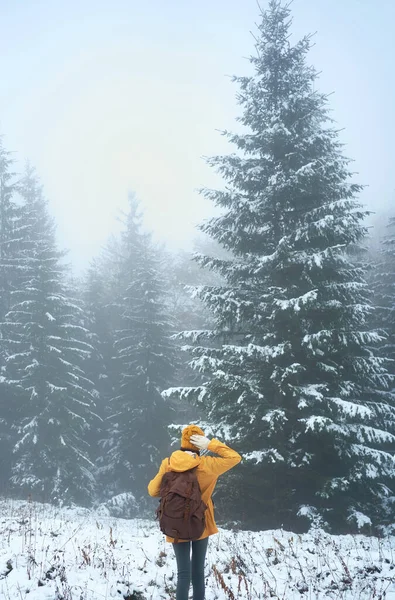 겨울 전나무 숲에서 여성 배낭 여행자. 눈덮인 서리와 안개낀 풍경 — 스톡 사진