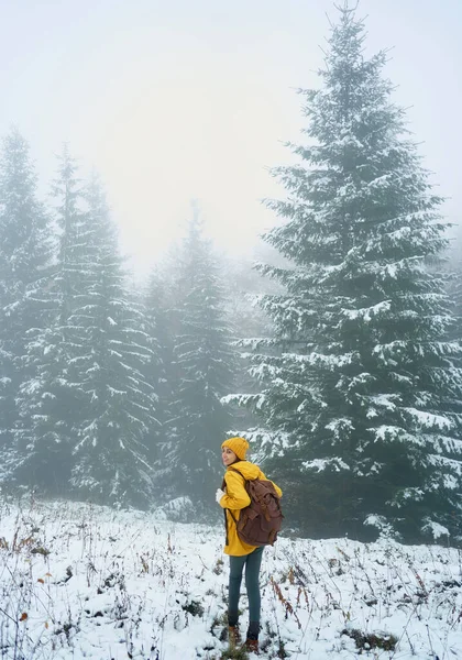 Tåkete vinterskog med bartrær dekket av snø, vandrende jente på fottur alene – stockfoto