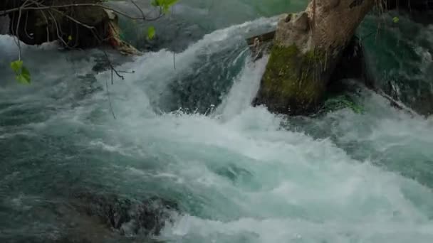 Fluxo turbulento de água em um rio de montanha — Vídeo de Stock
