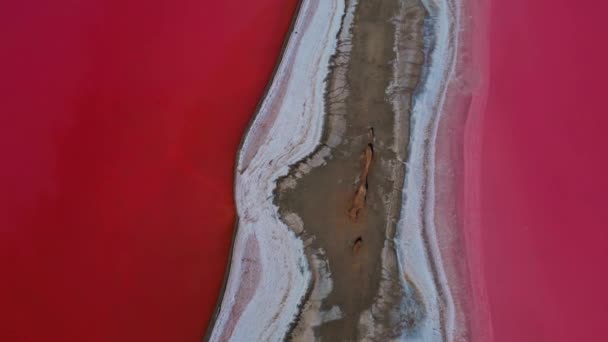 Stortingen van steenzout in het roze meer. Evenals helende klei en water. Uitzicht vanaf de drone. — Stockvideo