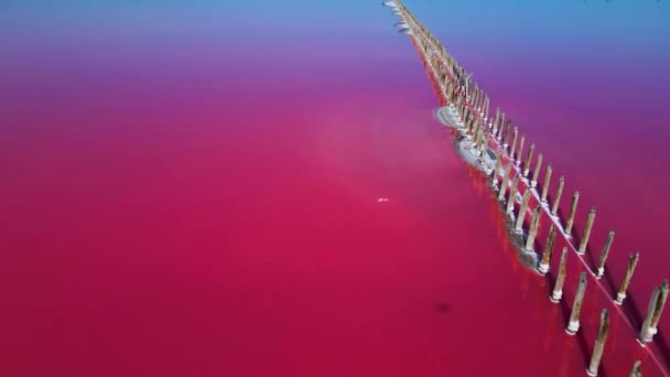 Flying over pink salt lake. Salt production facilities saline evaporation pond fields in salty lake. Dunaliella salina impart red, pink water in mineral lake with dry crystallized salty coast — Stock Footage Flying over pink salt lake. Salt production facilities saline evaporation pond fields in salty lake. Dunaliella salina impart red, pink water in mineral lake with dry crystallized salty coast — Stock Video