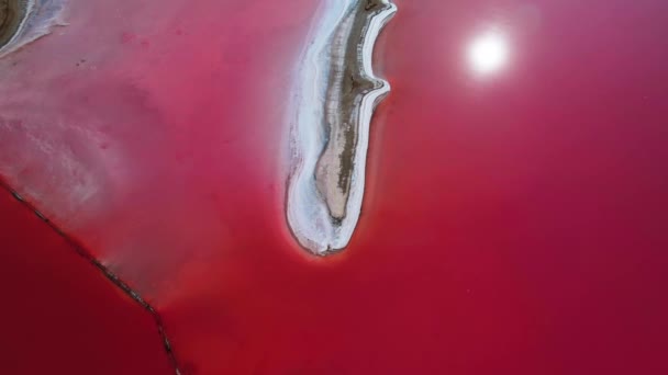 Topo aéreo no fundo do lago Lemuriano Sivash. sal lago origem marinha rosa algas vermelhas flor de água. Ucrânia atração turística viagem mística. Padrão cénico do fundo do mar. Salmoura de cura. 4k — Vídeo de Stock