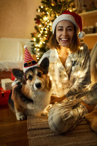 Amaasert kvinne feirer jul sammen med hunden sin Corgi – stockfoto