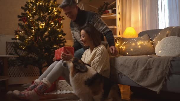Familj firar jul med sin söta Corgi hund på festliga inredda mysiga hus. glad leende kvinna få röd presentförpackning från kärleksfull man på nyårsfirande hemma — Stockvideo