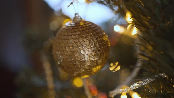Cámara lenta cerca de bola adorno dorado colgando en la rama del árbol de Navidad en el interior. decoración de la casa y la preparación para celebrar la Navidad y el Año Nuevo en casa — Vídeos de Stock