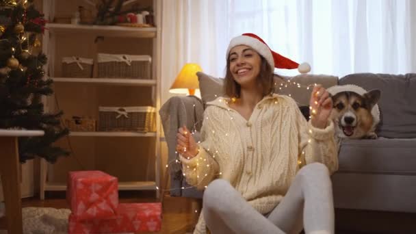Vonzó mosolygós nő visel Mikulás kalap gazdaság fények és az ő aranyos ásító Corgi kutya ül a kanapén ünnepi díszített ház karácsonyfa. 4k Lassú mozgás b-roll felvételek Újévi koncepció — Stock videók
