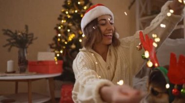 Santa Hat 'ta şefkatli bir kadın komik bir Galli Corgi köpeğine çelenk takar ren geyiği boynuzları takar, onu öper ve Noel ağacıyla süslü bir evde onu okşar.
