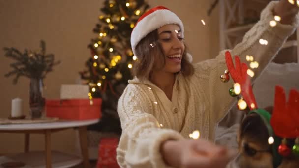 B-roll gyengéd szerető nő Santa Hat tesz fények koszorú vicces walesi Corgi kutya rénszarvas agancs fejpánt, megcsókolja őt, és simogató ünnepi díszített ház karácsonyfával — Stock videók