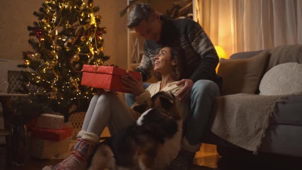 Υπέροχο ζευγάρι ενηλίκων γιορτάζει τα Χριστούγεννα με χαριτωμένο σκυλί Corgi τους σε εορταστική διακοσμημένο σπίτι. ενθουσιασμένοι όμορφη γυναίκα να πάρει κουτί δώρου από τρυφερός άνθρωπος για Χριστούγεννα φορά γιορτή στο σπίτι — Αρχείο Βίντεο