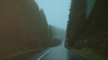 Yağmurlu sisli bir günde karanlık ormanın ortasında yol alan kasvetli sisli manzaralı arabadan görüntüyü ilk gören kişi.