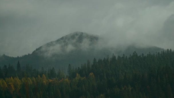 낮은 구름 사이의 산에 검은 숲이 깔려 있는 안개가 자욱 한 풍경. 짙은 안개 속에 살고 있는 침엽수들로 뒤덮인 음산 한 대기권 — 비디오