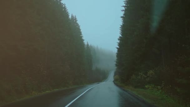 Вид від першої особи POV b-roll з автомобіля на Гломи туманний пейзаж з дорогою в середині темного лісу в дощовий туманний день — стокове відео